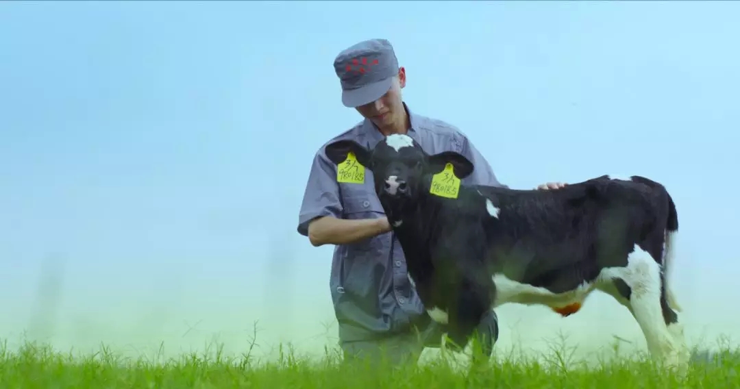 河南省人大常委會(huì)黨組書記、副主任孔昌生蒞臨花花牛魯山瑞亞牧場(chǎng)參觀調(diào)研