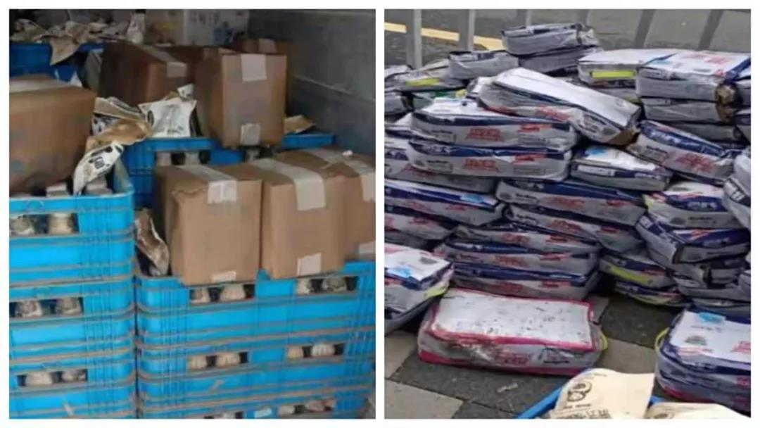 【乳報·聚焦】“豫”難而上的中原牛人“太中了”！