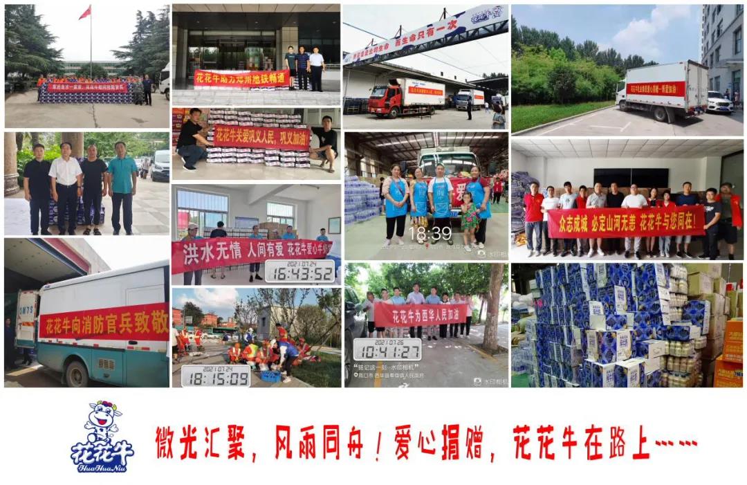 【乳報·聚焦】“豫”難而上的中原牛人“太中了”！