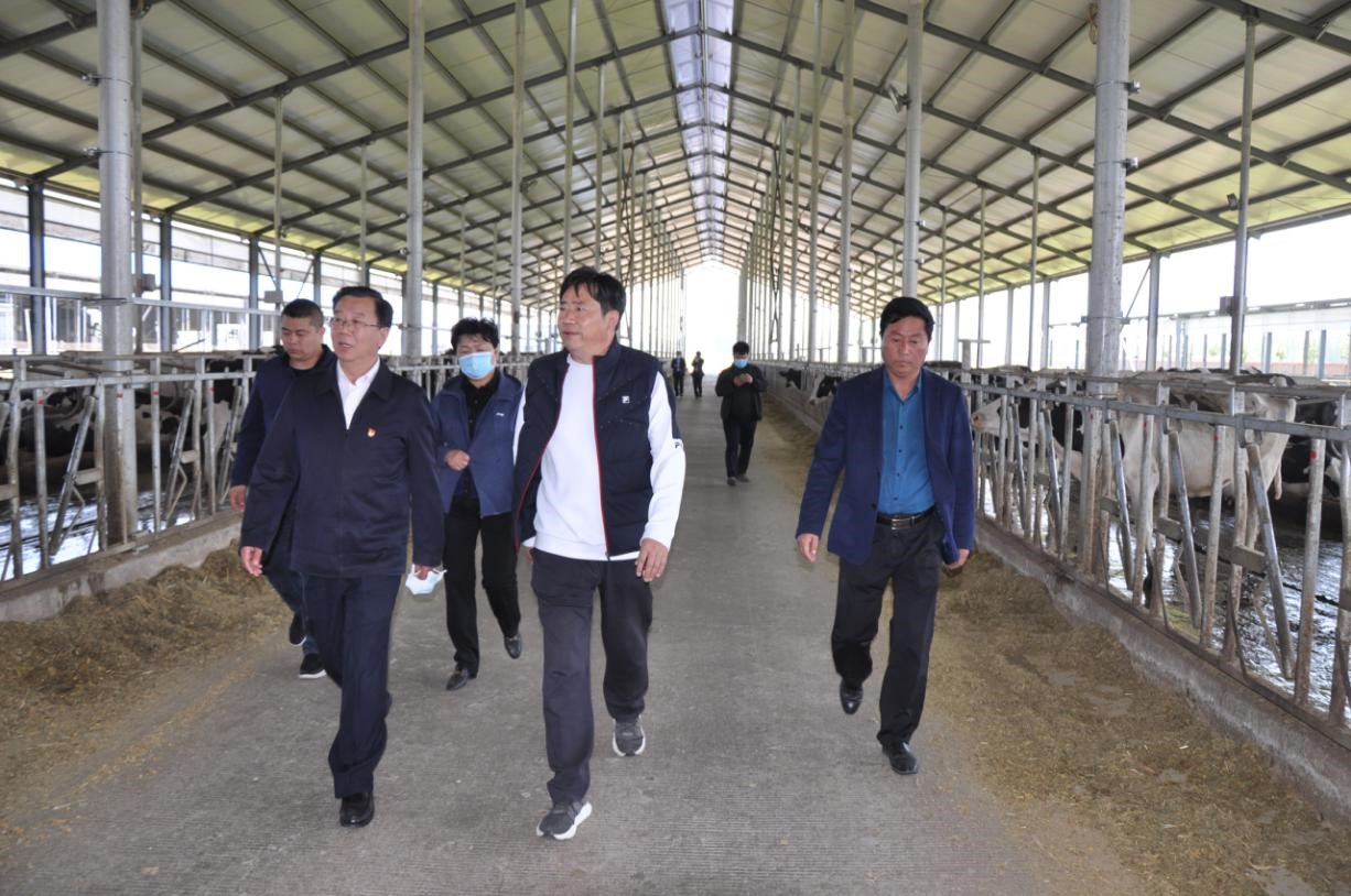 商丘市委常委、宣傳部部長王全周一行蒞臨睢縣瑞亞牧業(yè)有限公司調(diào)研