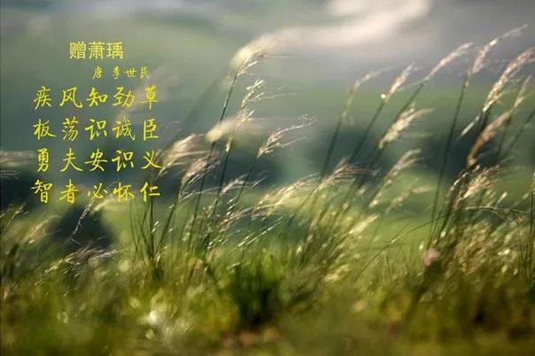 花花牛 | 疾風(fēng)來臨，你是不是勁草？